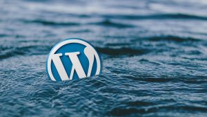 Biztonságban a Wordpress-tengeren